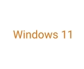 Windows 11